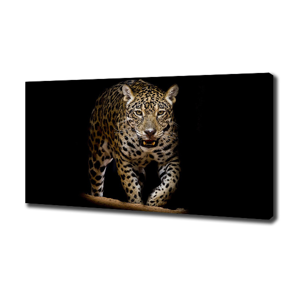 Fotobild Jaguar