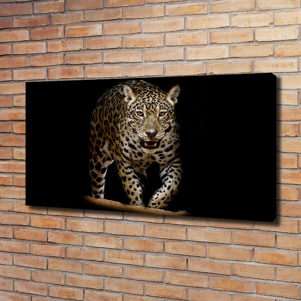 Fotobild Jaguar