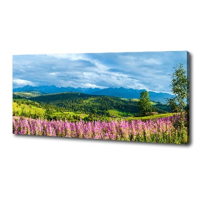 Wandbild Lavendel in den Bergen