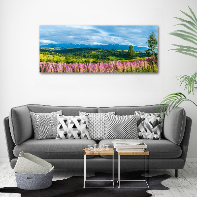 Wandbild Lavendel in den Bergen