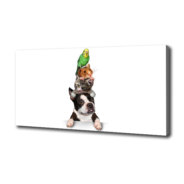 Bild auf leinwand Eine Gruppe von Tieren