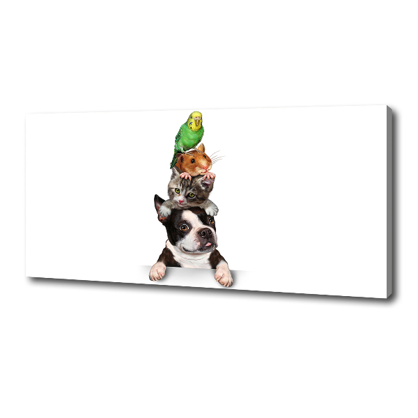 Bild auf leinwand Eine Gruppe von Tieren