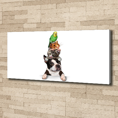 Bild auf leinwand Eine Gruppe von Tieren