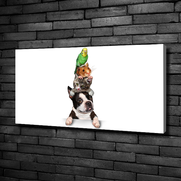 Bild auf leinwand Eine Gruppe von Tieren