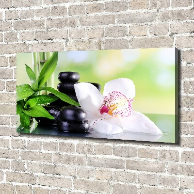 Fotobild Orchidee