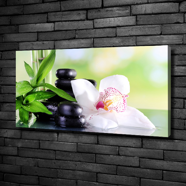 Fotobild Orchidee