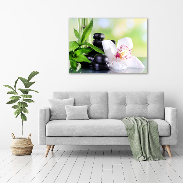 Fotobild Orchidee