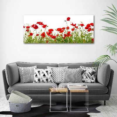 Bild auf leinwand Mohnblumen