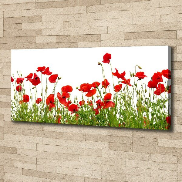 Bild auf leinwand Mohnblumen