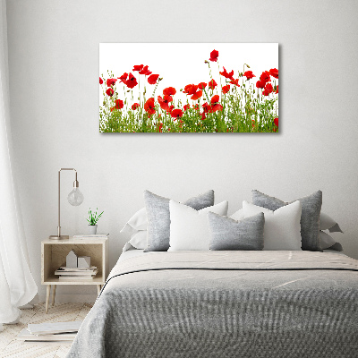Bild auf leinwand Mohnblumen