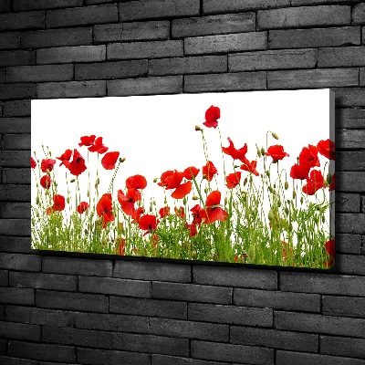 Bild auf leinwand Mohnblumen