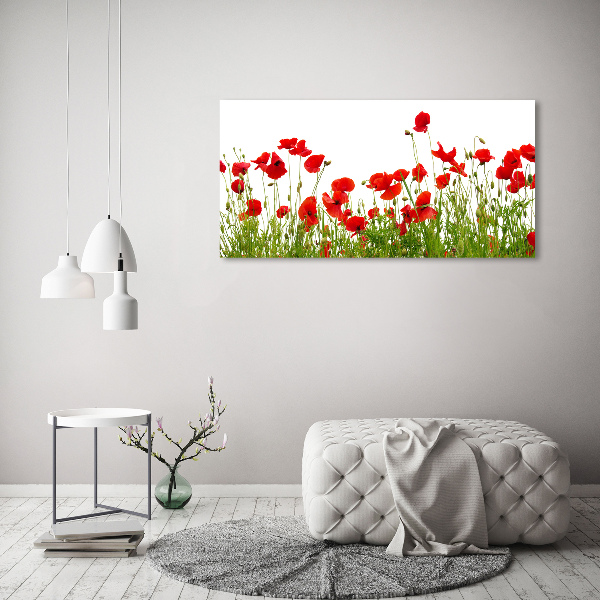 Bild auf leinwand Mohnblumen