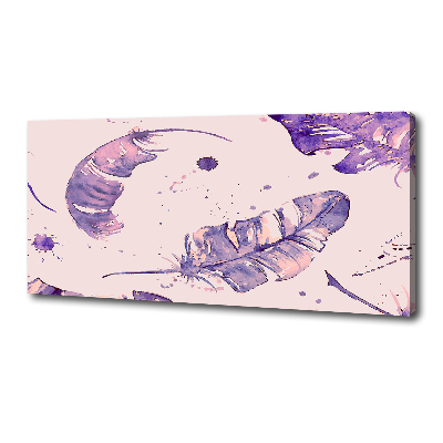 Bild auf leinwand Federn