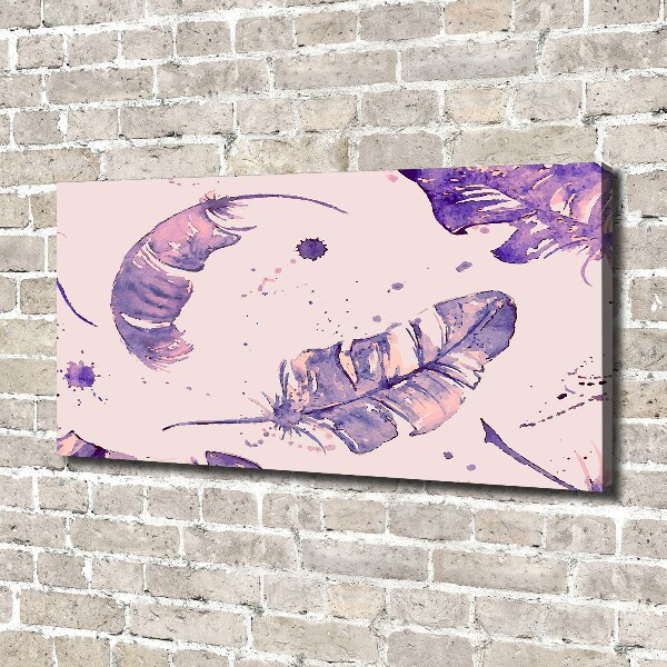 Bild auf leinwand Federn