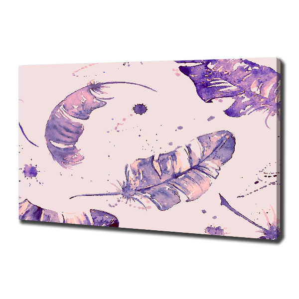 Bild auf leinwand Federn