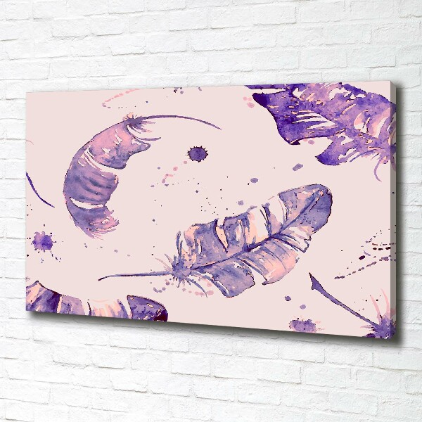 Bild auf leinwand Federn