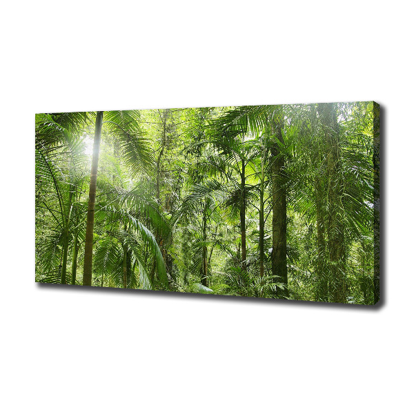 Wandbild Tropischer Wald
