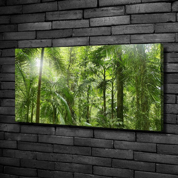 Wandbild Tropischer Wald
