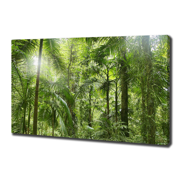 Wandbild Tropischer Wald