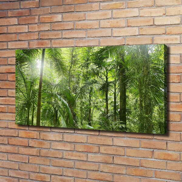 Wandbild Tropischer Wald