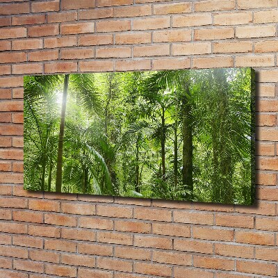 Wandbild Tropischer Wald