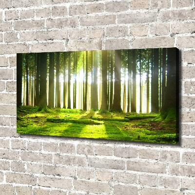 Wandbild Wald in der Sonne