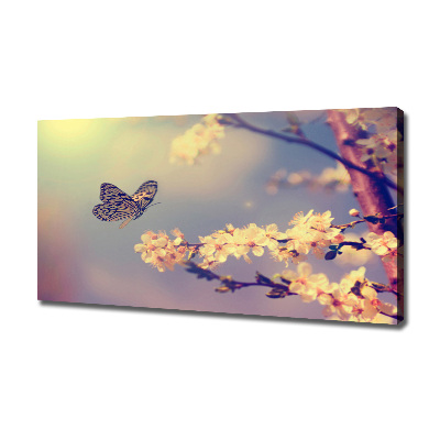 Bild auf leinwand Kirschblüte und Schmetterling