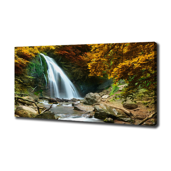 Bild auf leinwand Wasserfall im Wald
