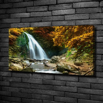 Bild auf leinwand Wasserfall im Wald