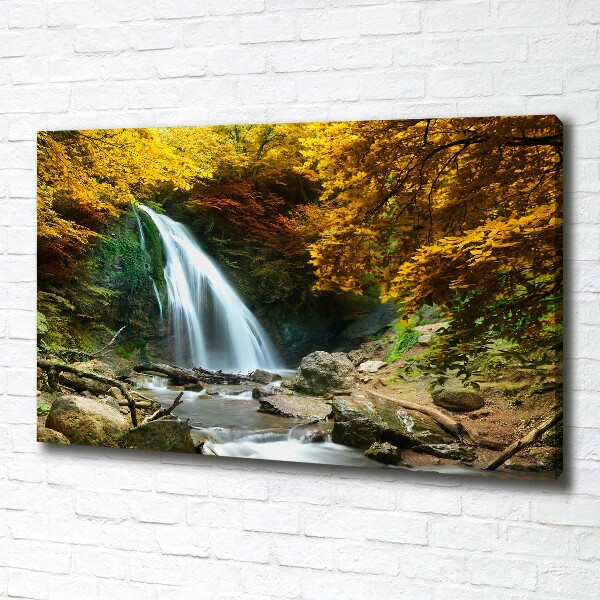 Bild auf leinwand Wasserfall im Wald