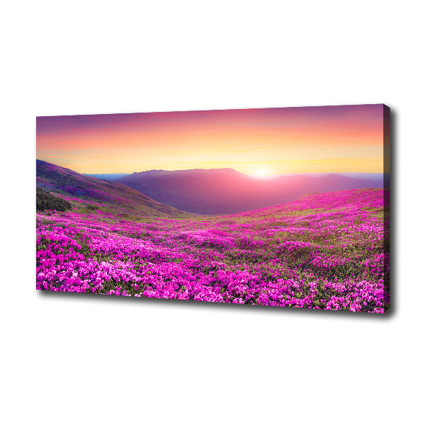 Wandbild Pink Hills