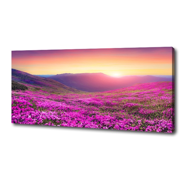 Wandbild Pink Hills