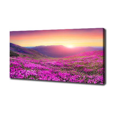 Wandbild Pink Hills