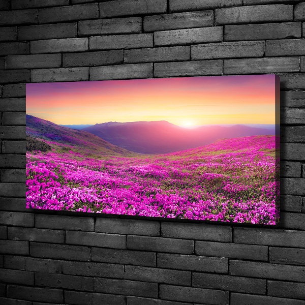 Wandbild Pink Hills