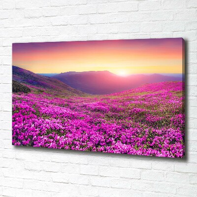 Wandbild Pink Hills