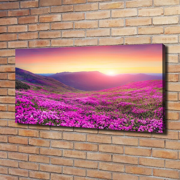 Wandbild Pink Hills