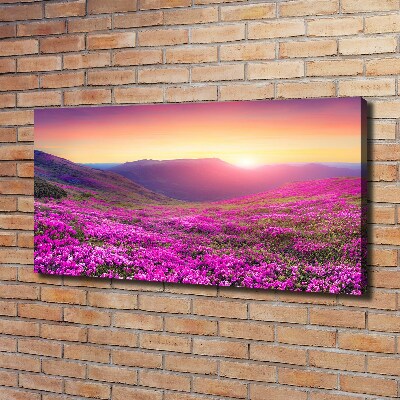 Wandbild Pink Hills