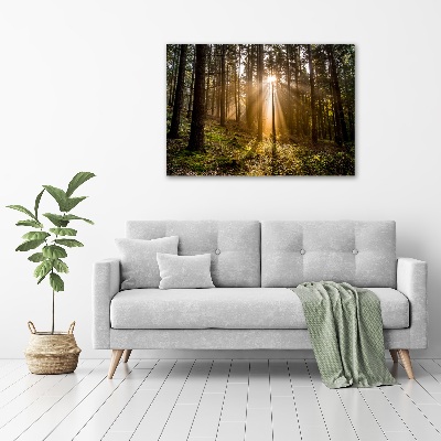 Fotobild Sonnenlicht