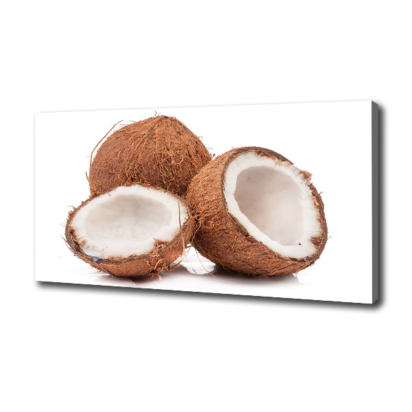 Wandbild Kokosnuss