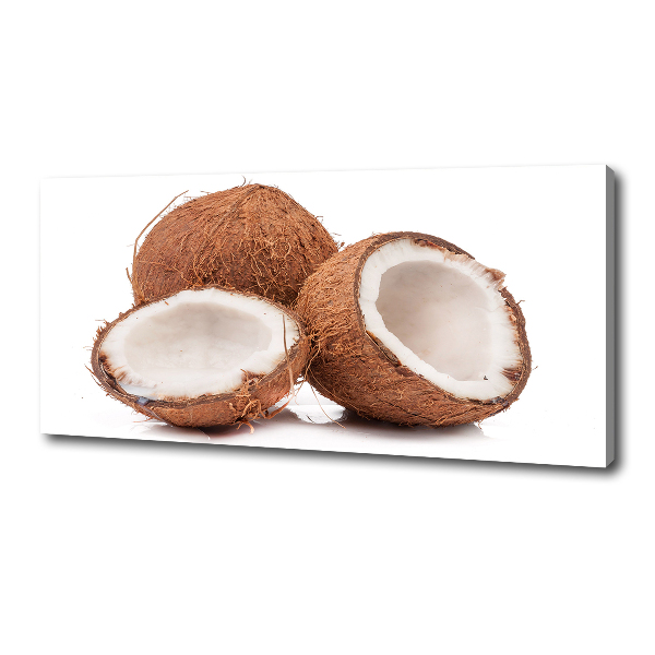 Wandbild Kokosnuss