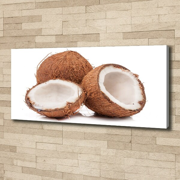 Wandbild Kokosnuss