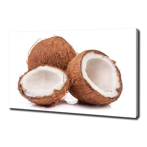 Wandbild Kokosnuss