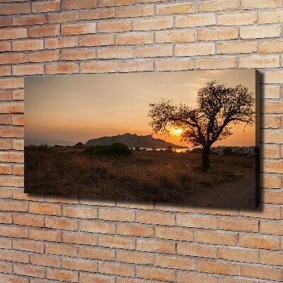 Bild auf leinwand Sonnenuntergang