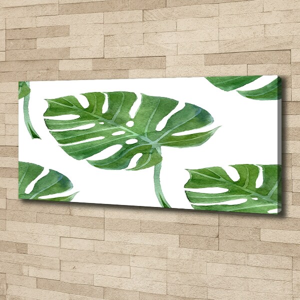 Bild auf leinwand Monstera