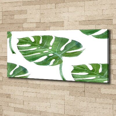 Bild auf leinwand Monstera