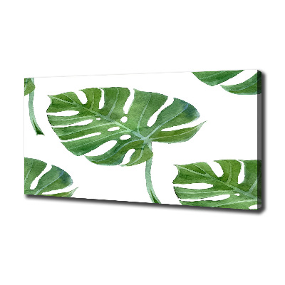 Bild auf leinwand Monstera