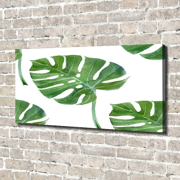 Bild auf leinwand Monstera
