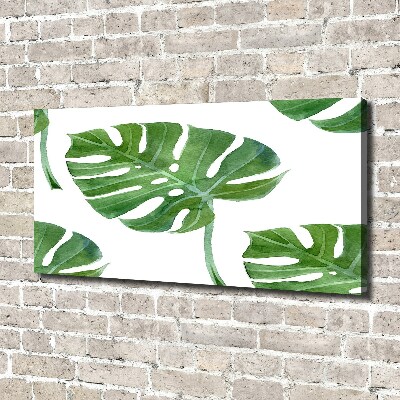 Bild auf leinwand Monstera
