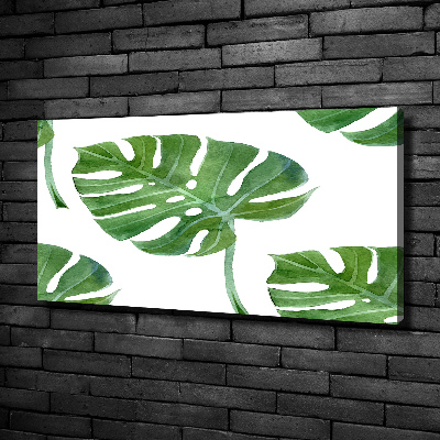 Bild auf leinwand Monstera