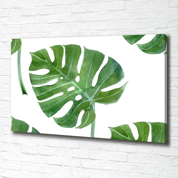 Bild auf leinwand Monstera